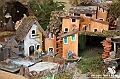 VBS_8375 - Presepe Chiesa di Martinetta Natale 2024